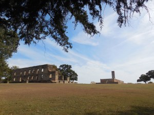 Bre's Late October 2015 159