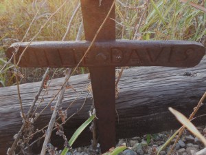 Bre's mid Oct 2015 014