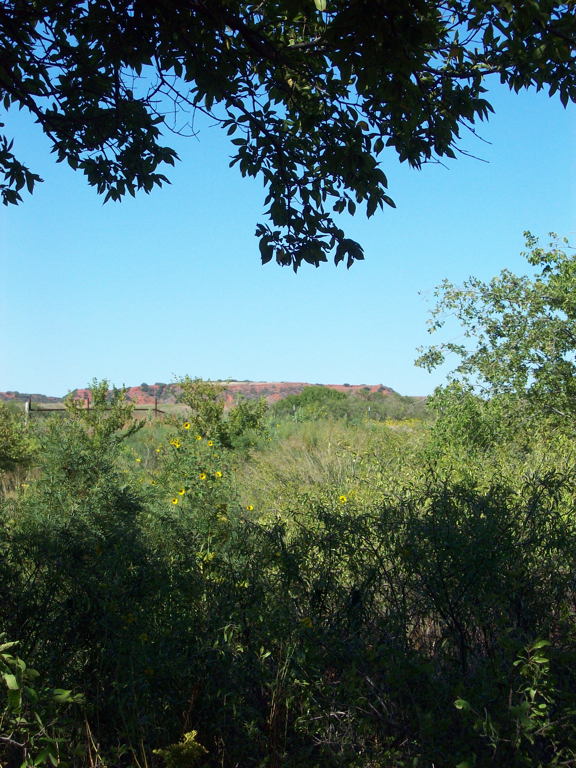 Washita Battlefield 11